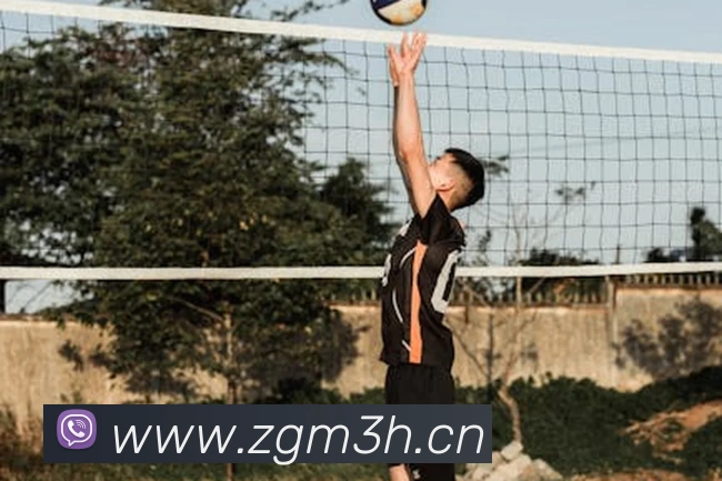 云顶集团官网登录入口平台生态图