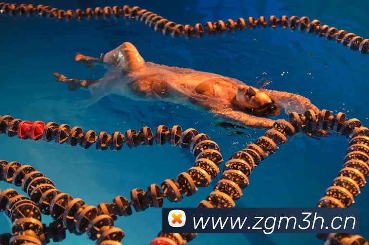 云顶集团官网登录入口全站App